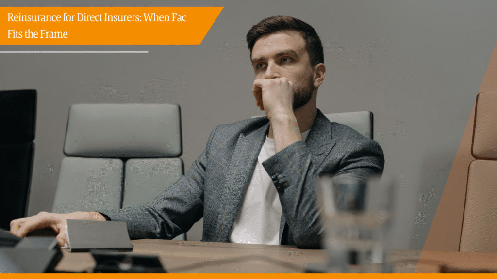 Facultative Reinsurance for Direct Insurers | Partner Risk